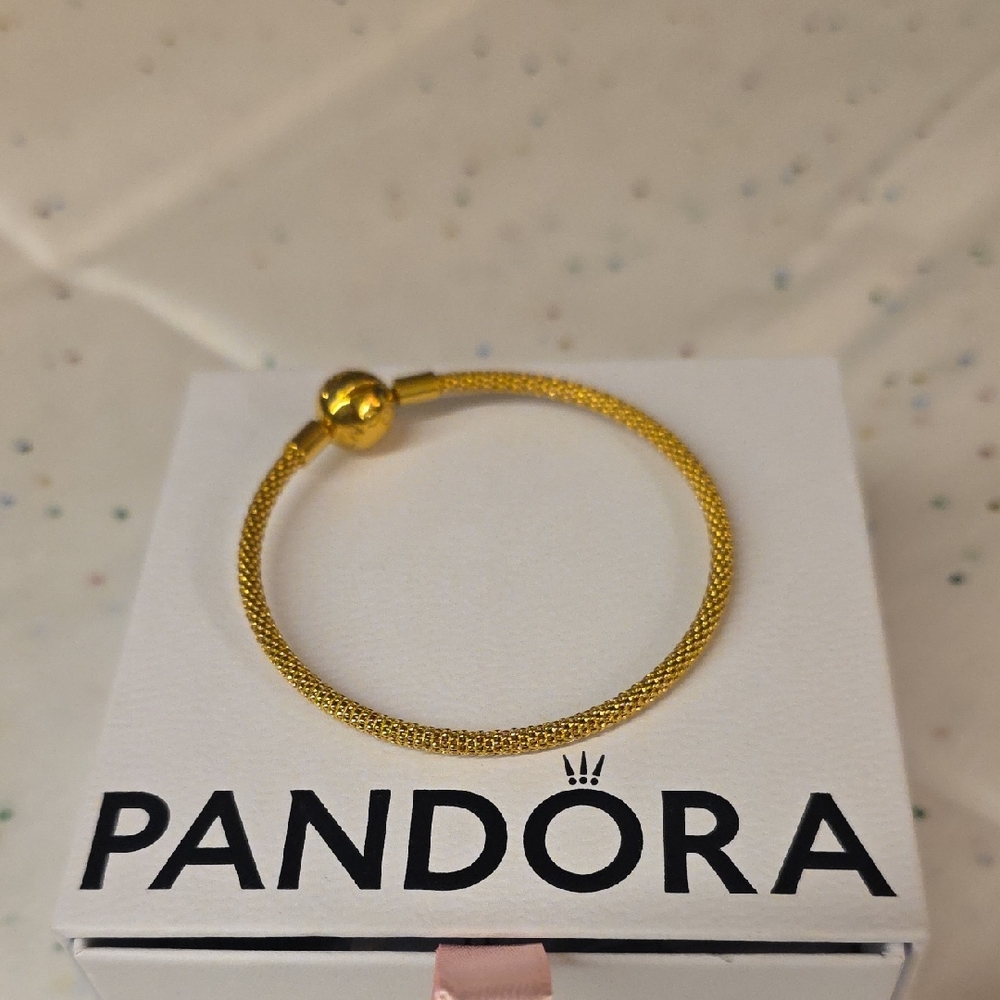 Pandora Shine Mesh Bracelet